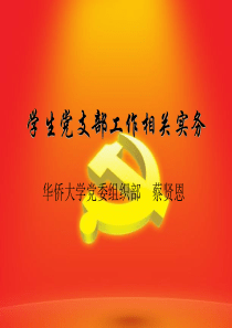 党支部工作2009130