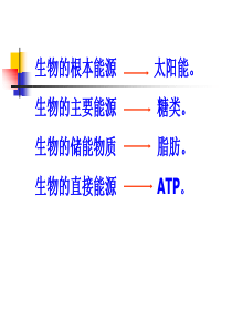 生物的根本能源