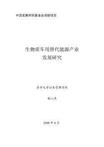 生物质车用替代能源产业发展研究