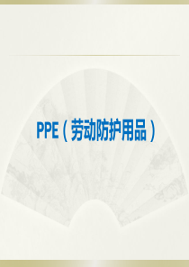 劳动防护用品(PPE)培训