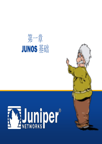 junos基础