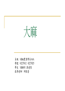 系级精致农业学系四A