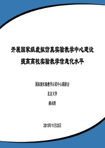 CII中国电子商务指数报告