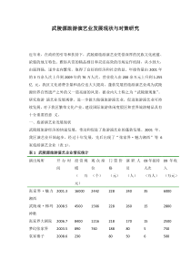 武陵源旅游演艺业发展现状与对策研究