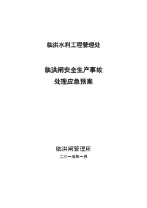 临洪闸安全生产事故处理应急预案15版