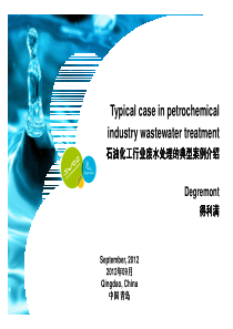 石油化工行业废水处理典型案例介绍--杨权