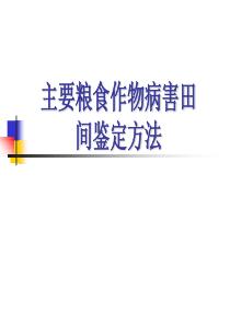 主要粮食作物病害田间鉴定方法.