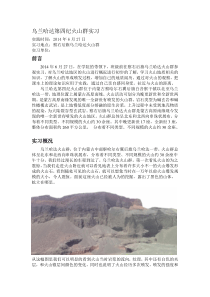 乌兰哈达火山群实习报告