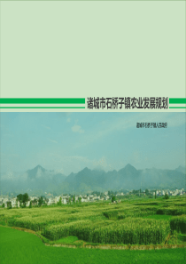 诸城市石桥子镇农业发展规划（PDF90页）