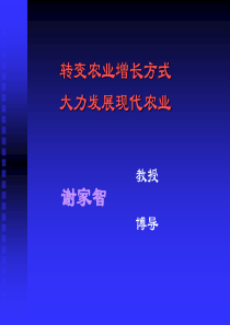 转变农业增长方式,大力发展现代农业