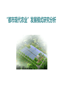 都市现代农业发展模式研究分析(PPT)（PPT41页)