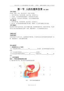 人的生殖和发育学案