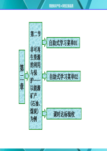 第二章第二节非可再生资源的利用与保护——以能源矿