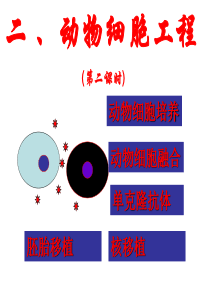 人高考生物第二轮专题复习课件植物细胞工程和动物细胞工程