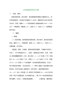 云南滇重楼栽培技术详解