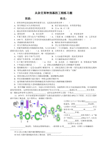 从杂交育种到基因工程测试题及答案