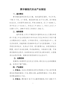 黄许镇现代农业产业规划