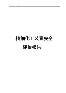 精细化工装置安全评价报告