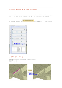 产品技巧-如何利用DesignerBLM战胜表面网格缺陷