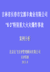 吉林省长春市宝源丰禽业有限公司63特别重大火灾爆炸事故案例资料