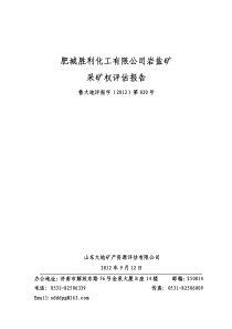 肥城胜利化工有限公司岩盐矿采矿权评估报告