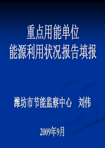 能源利用状况报告课件