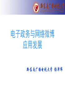 电子政务与网络微博