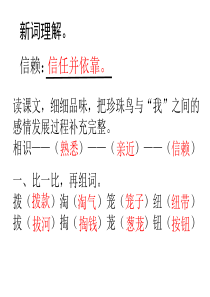 五年级上册语文长江作业16.珍珠鸟答案