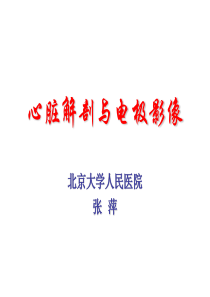 心脏解剖与起搏电极影像2009