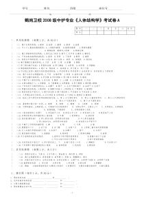 人体结构学试卷(A)