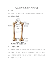 人工股骨头置换病人的护理