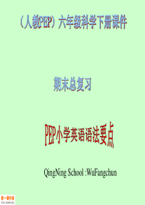 人教PEP版英语六年级下册《期末总复习_语法要点》课件