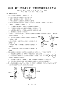 人教版2010—2011学年度人和动物生命活动调节考试