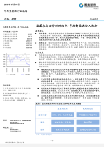 蕴藏在乌云背后的阳光-寻找新能源接入机会