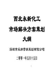 西北永新化工市场解决方案策划大纲（PPT 52页）