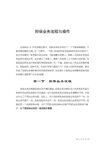 担保业务流程与操作详述