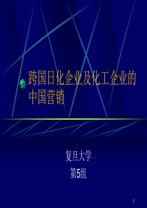 跨国日化企业及化工企业2