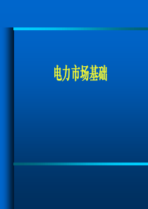 电力市场中发电厂商的竞价策略