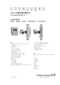 E+H质量流量计80-83中文