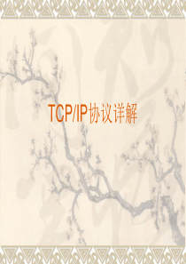 TCPIP协议详解