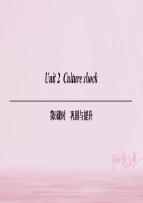 九年级英语下册Unit2Culture-shock第6课时巩固与提升牛津深圳