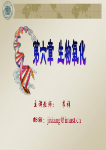 生物化学第六章生物氧化