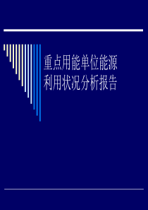 重点用能单位能源利用状况分析报告