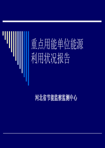 重点用能单位能源利用状况报告