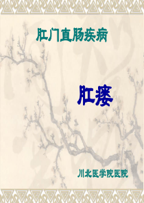 中医外科学多媒体课件--肛门直肠疾病-肛瘘.