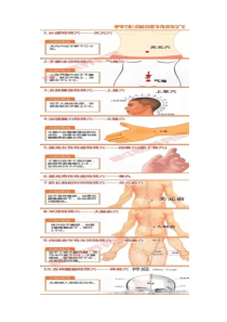 中医经络按摩80个特效穴位图