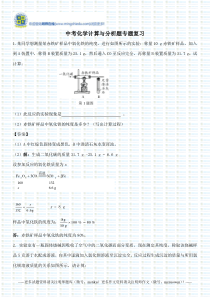 中考化学计算与分析题专题复习