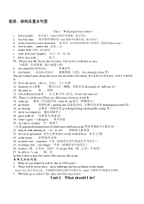 中考复习之八年级下册短语及句型