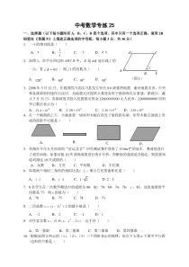 中考数学专练25