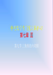 中考数学专门复习课件43